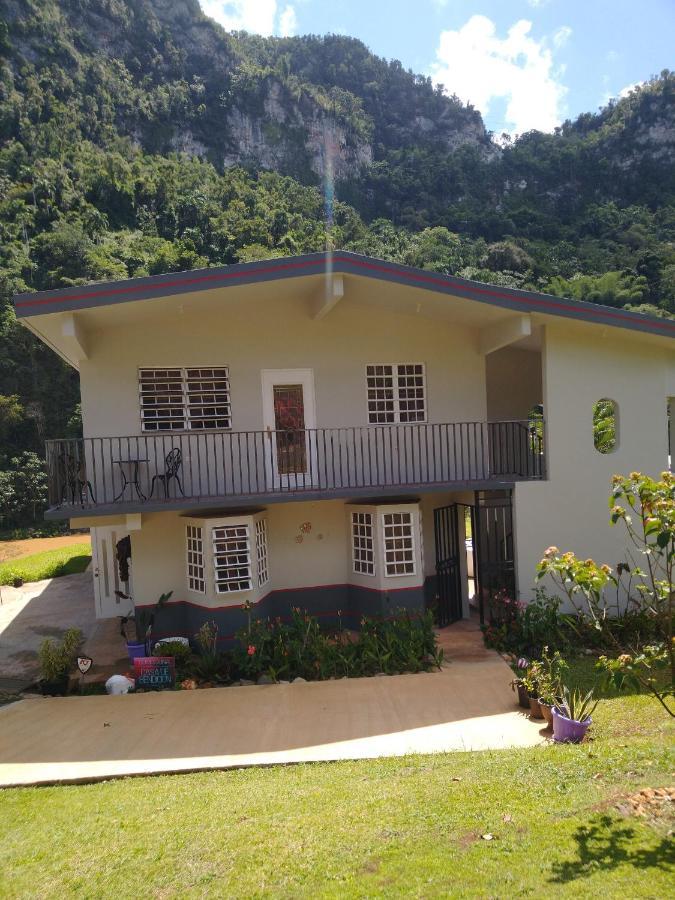 Casa De Campo Rio Arriba Arecibo Exterior foto