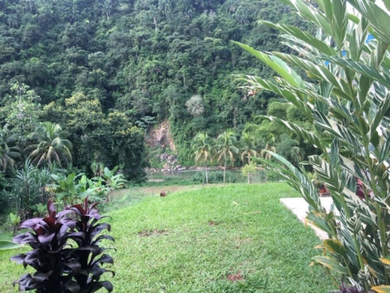 Casa De Campo Rio Arriba Arecibo Exterior foto
